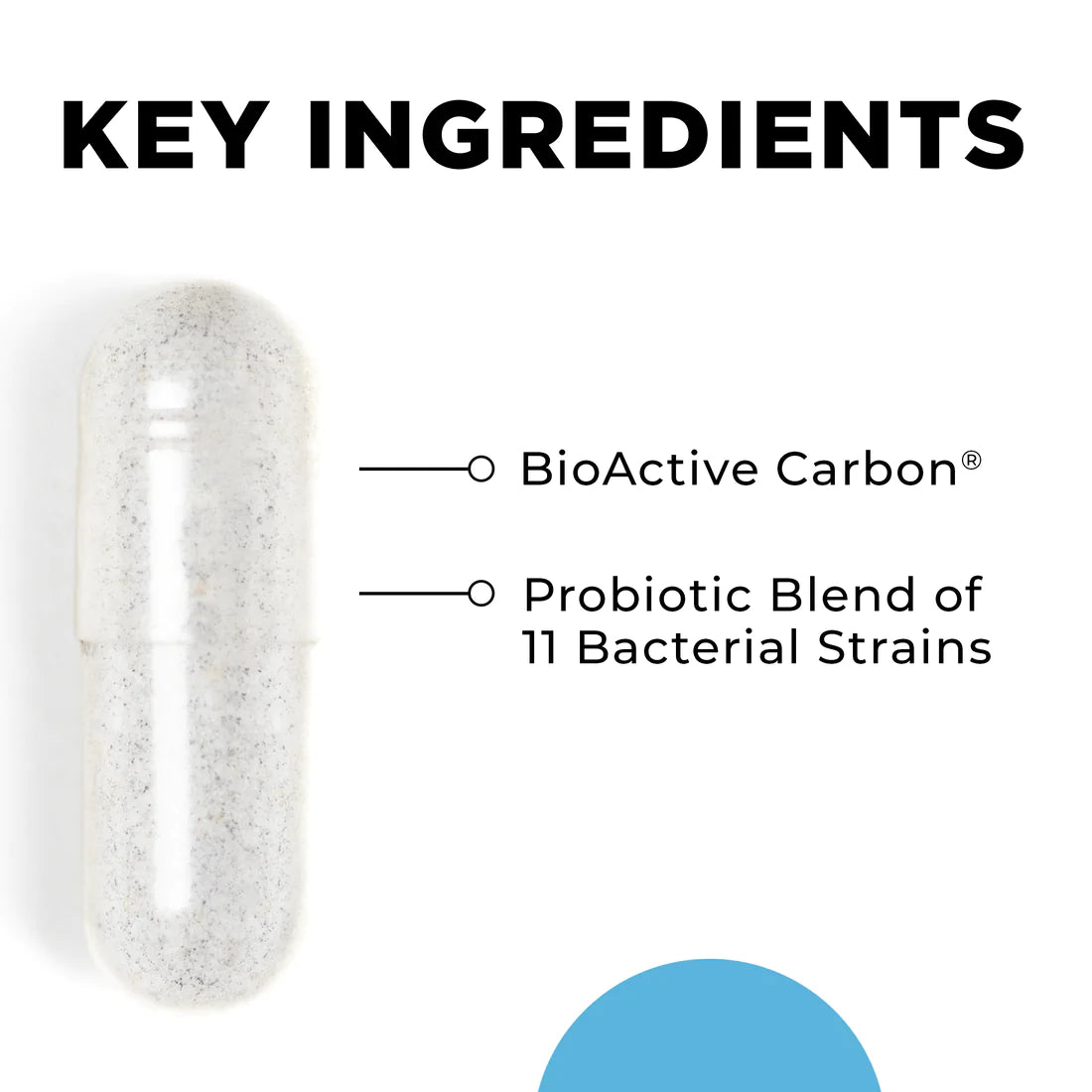 CT-Biotic - 60 caps.