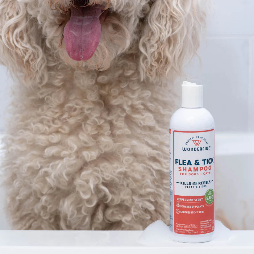 Wondercide Flea & Tick Shampoo for Cats & Dogs 12 oz. - Peppermint