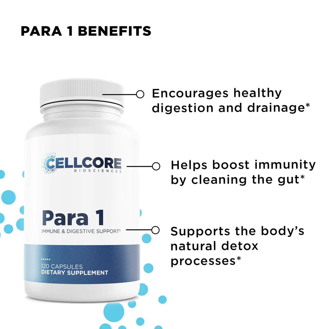 Para Kit (Full Moon Kit)