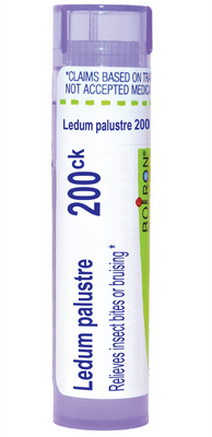 Boiron Homeopathics Ledum Palustre 200ck - Wholistic Nutrition - Fullscript