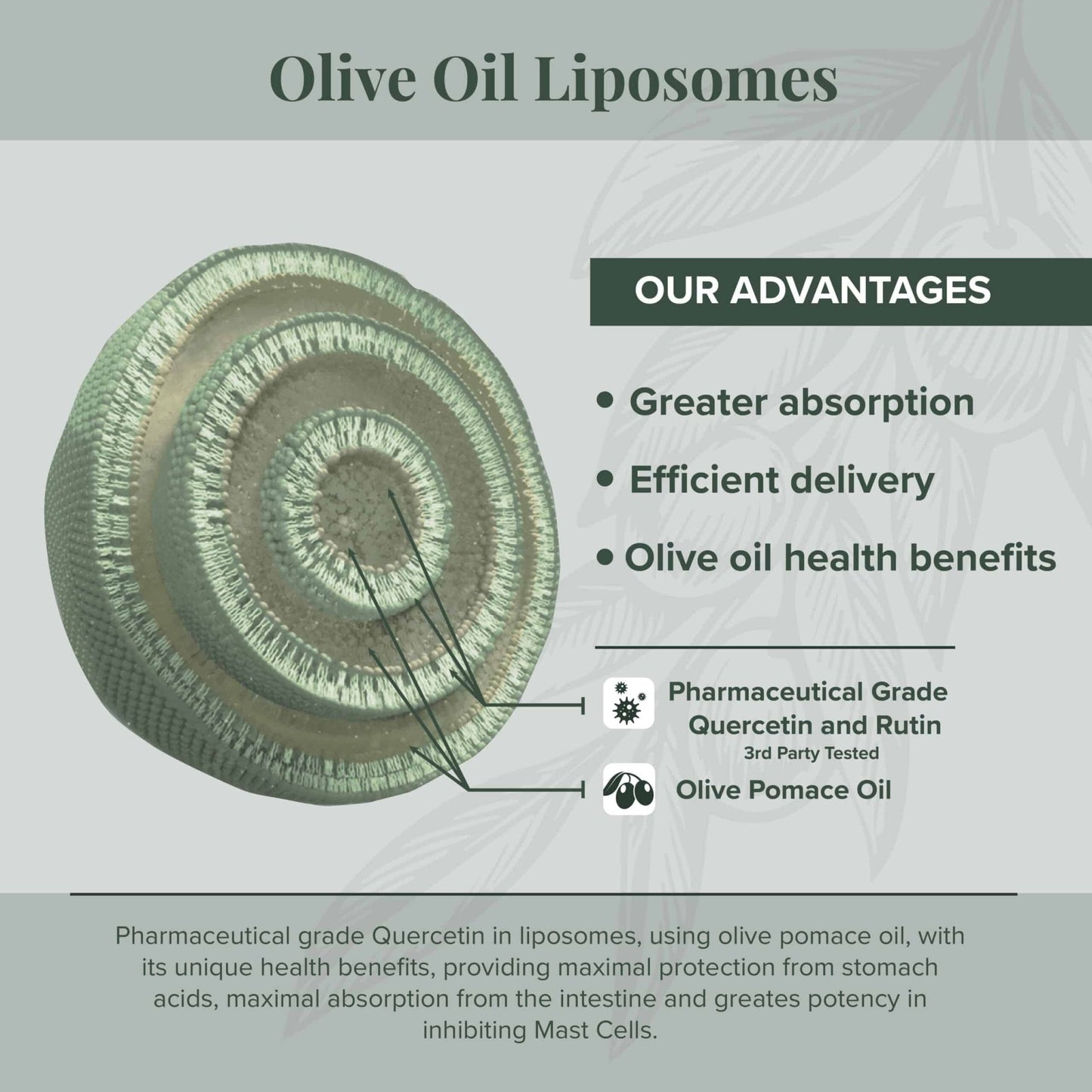 CystoProtek - Wholistic Nutrition - Wellness Supplements - Algonot
