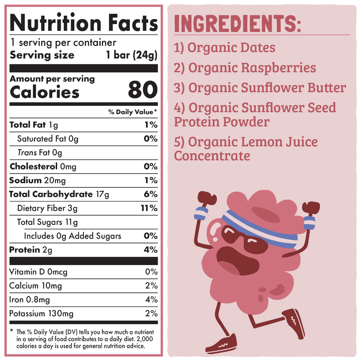 Skout Organic Kids Snack Bars 6-pack
