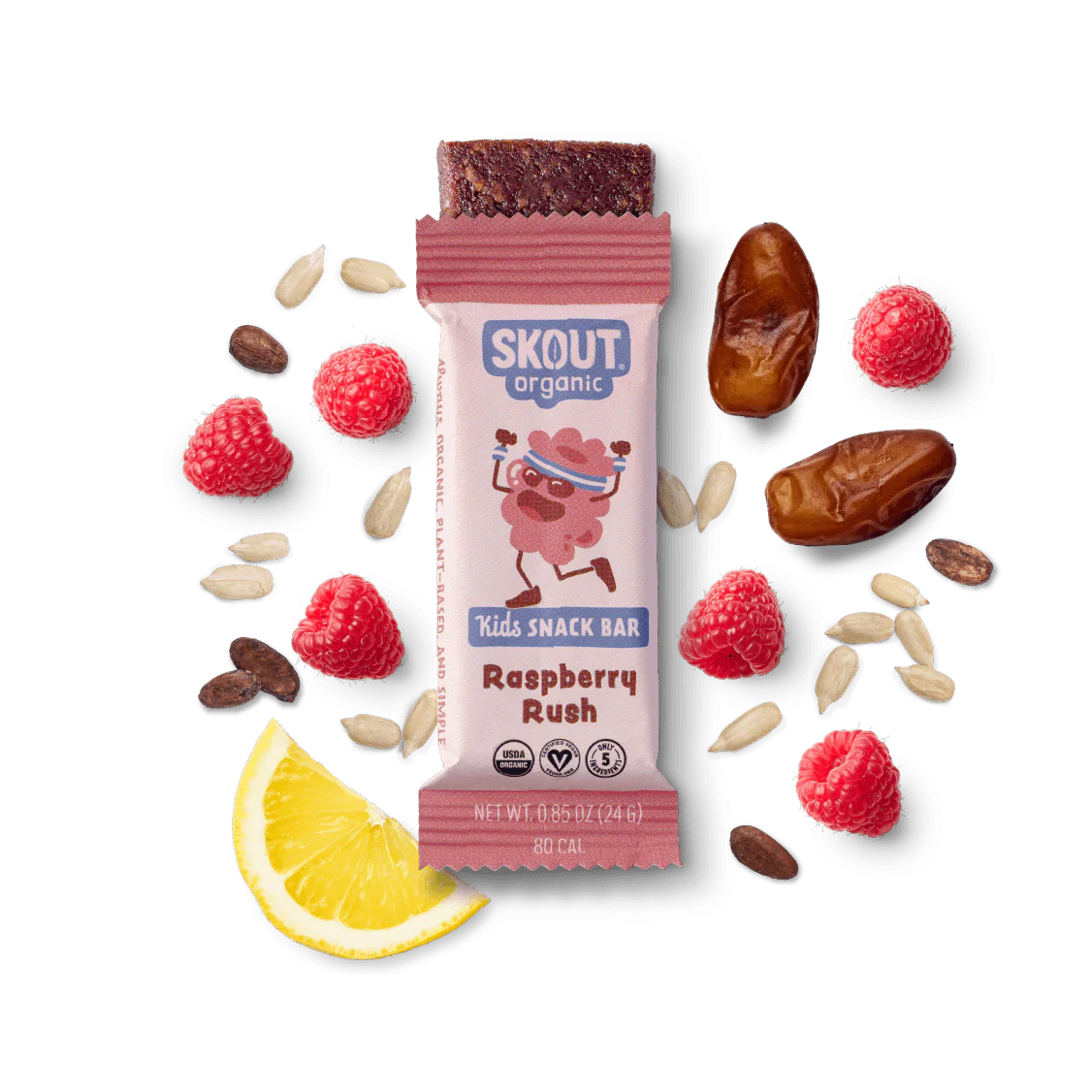 Skout Organic Kids Snack Bars 6-pack