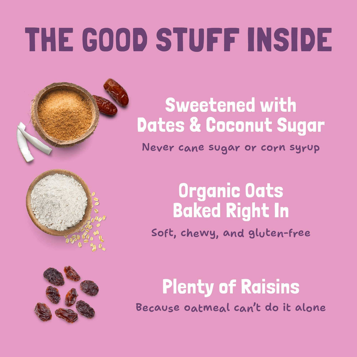 Skout Organic Oatmeal Raisin Soft Baked Cookies