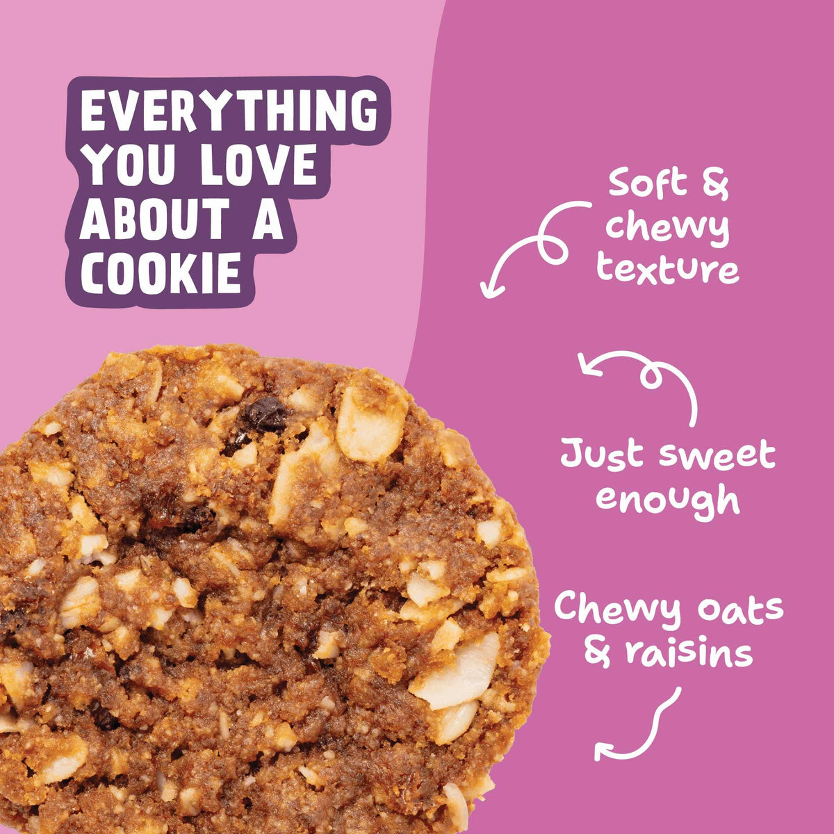 Skout Organic Oatmeal Raisin Soft Baked Cookies