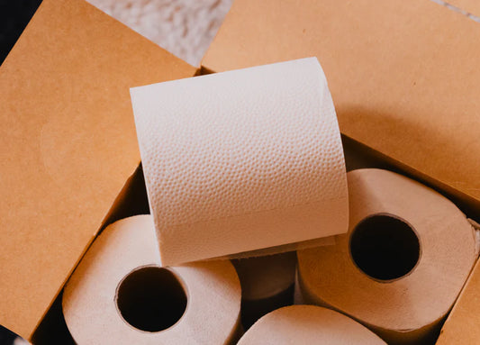PlantPaper 8-pack box of Bamboo Toilet Paper