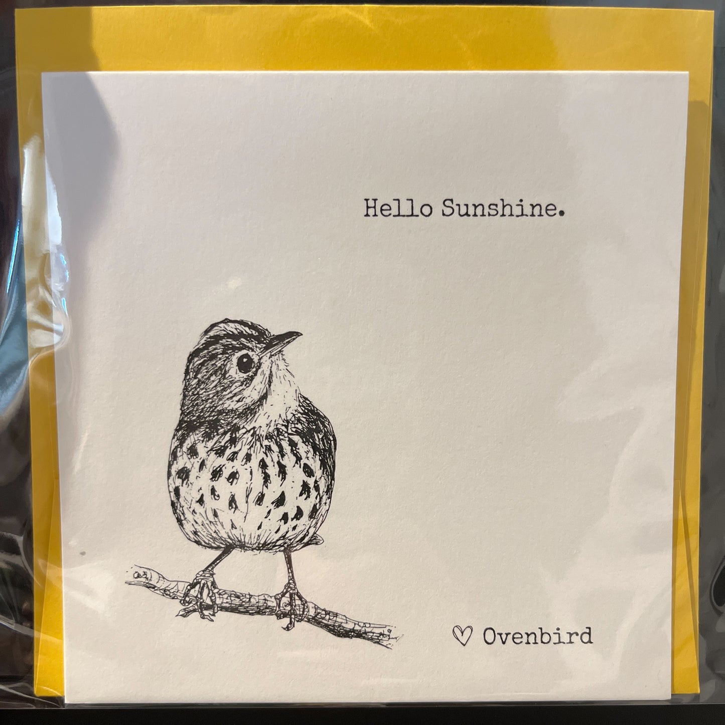 Biophilia & Ink Hand-Drawn Card
