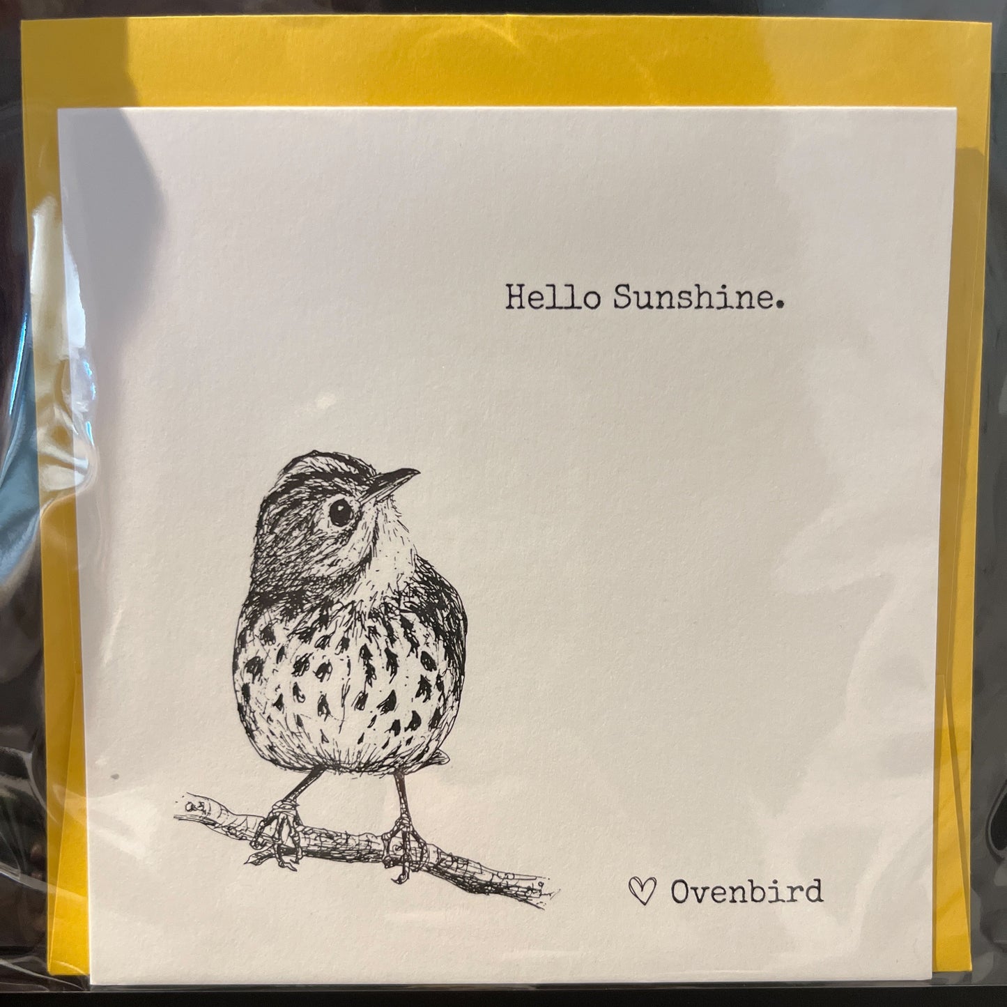 Biophilia & Ink Hand-Drawn Card