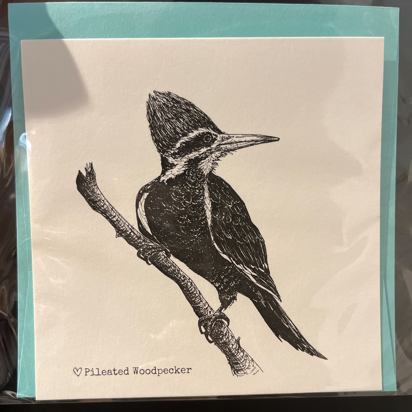 Biophilia & Ink Hand-Drawn Card