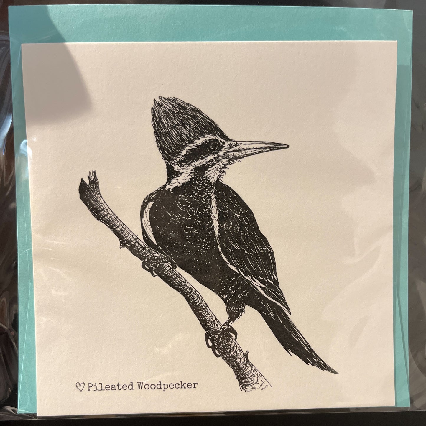 Biophilia & Ink Hand-Drawn Card