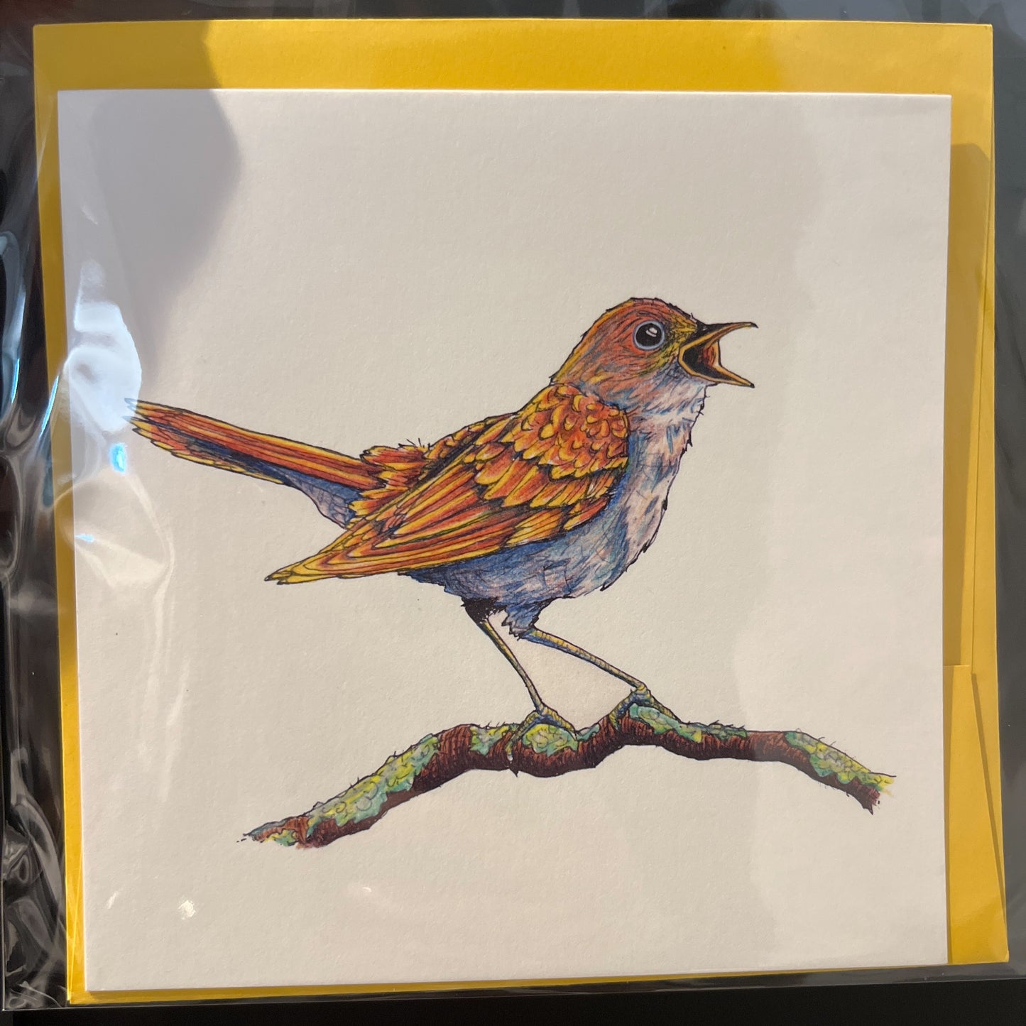 Biophilia & Ink Hand-Drawn Card
