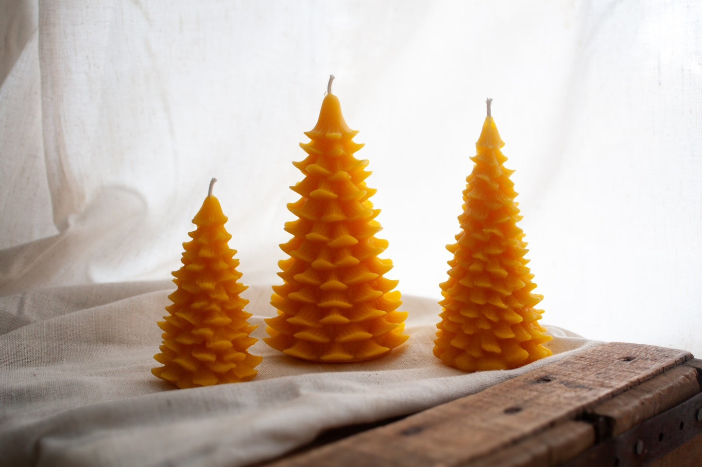 Wildflower & Honey Pine Tree Beeswax Candle