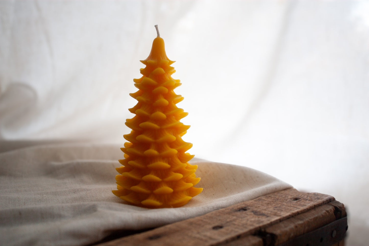 Wildflower & Honey Pine Tree Beeswax Candle