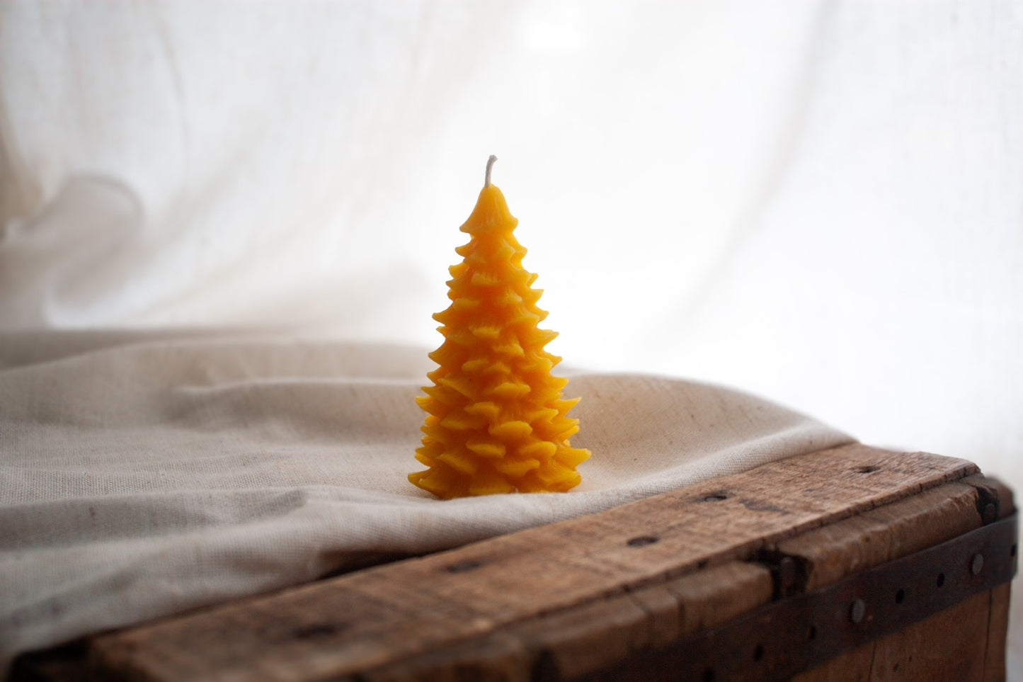 Wildflower & Honey Pine Tree Beeswax Candle