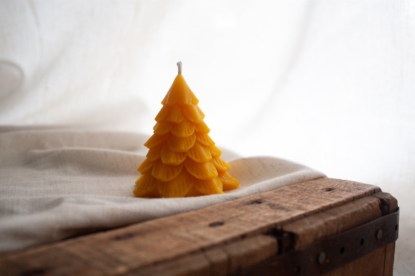 Wildflower & Honey Woodland Pine Beeswax Candle