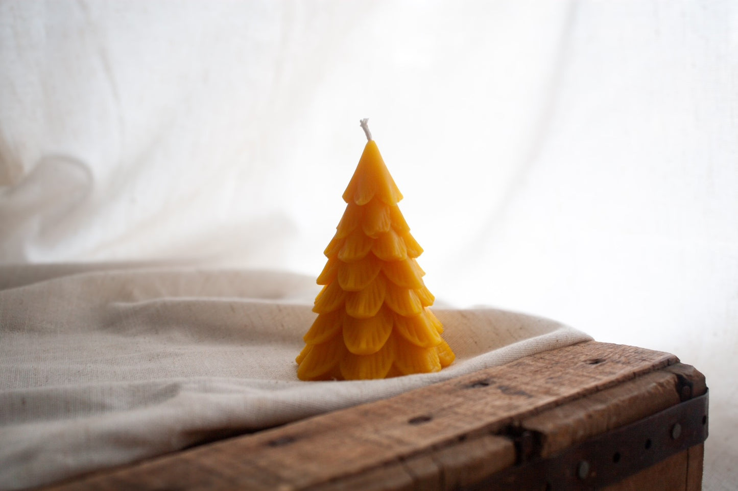 Wildflower & Honey Woodland Pine Beeswax Candle