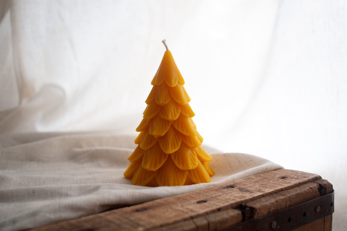 Wildflower & Honey Woodland Pine Beeswax Candle
