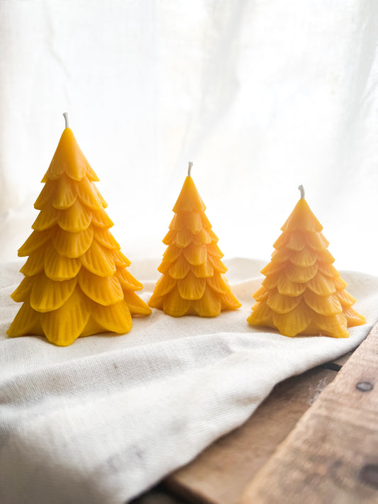 Wildflower & Honey Woodland Pine Beeswax Candle