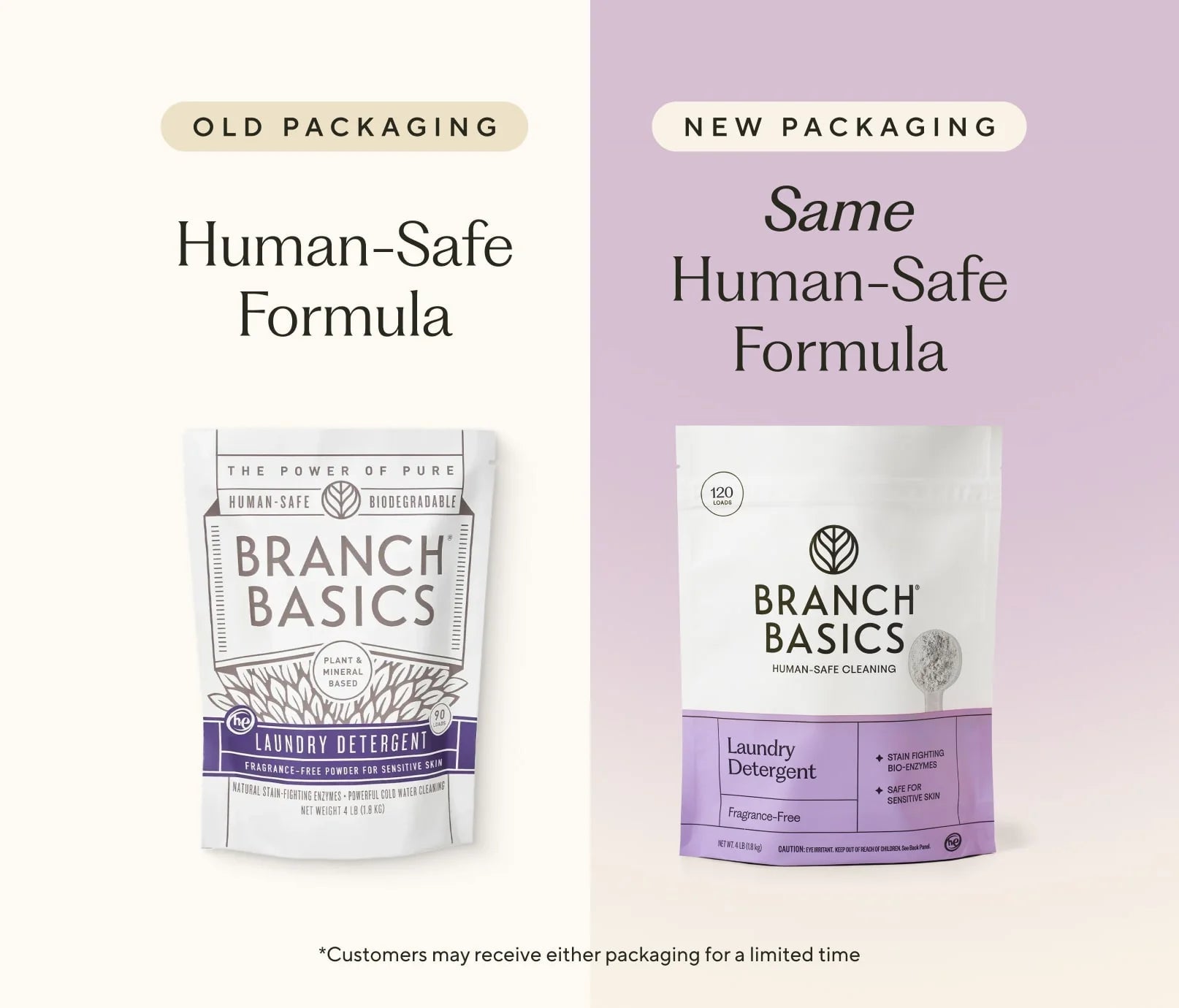Branch Basics Laundry Detergent - 4 lbs. (Fragrance - Free) - Wholistic Nutrition - Cleaning & Laundry - Branch Basics