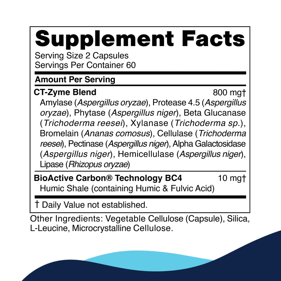 Cellcore CT - Zyme - Wholistic Nutrition - Cellcore - Cellcore