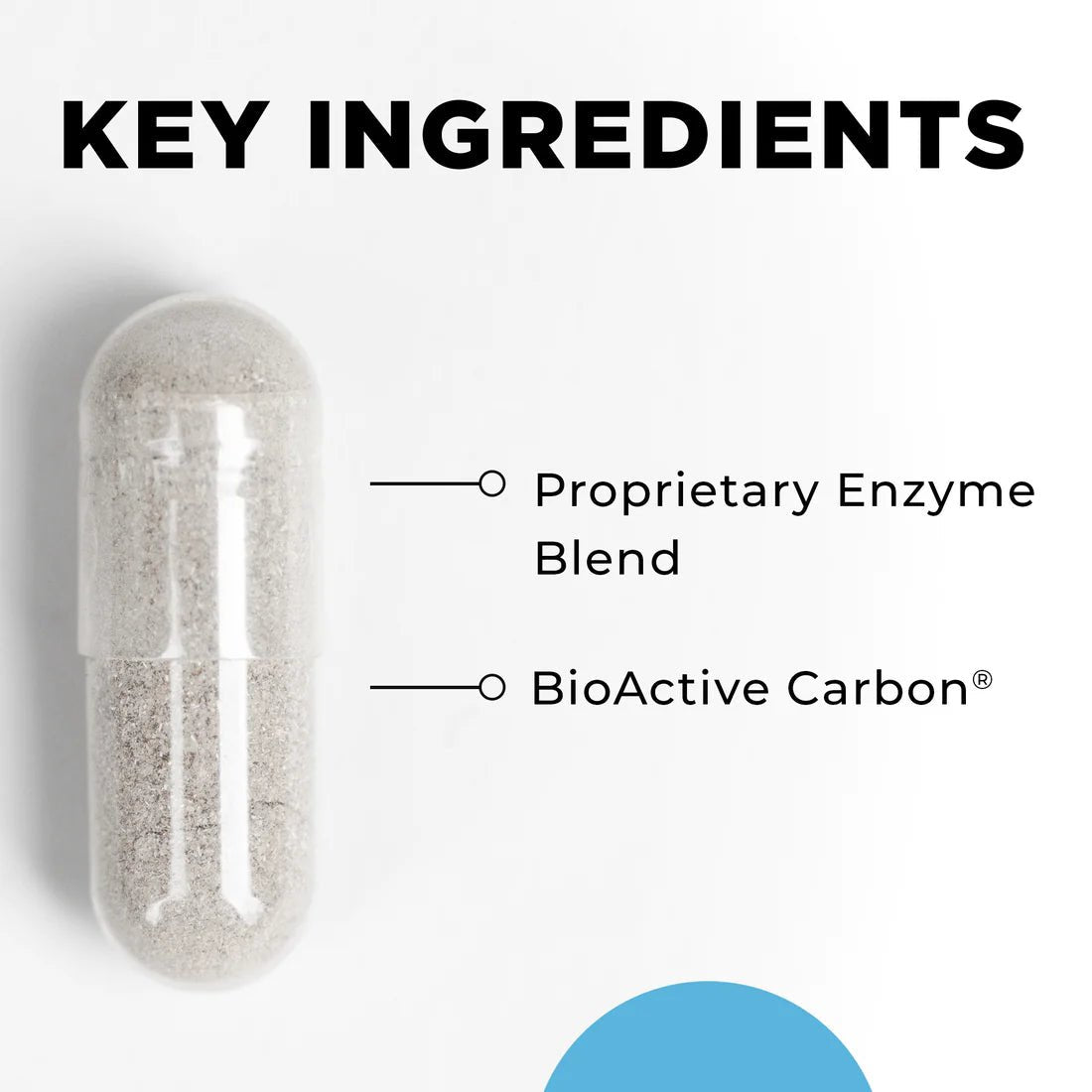Cellcore CT - Zyme - Wholistic Nutrition - Cellcore - Cellcore