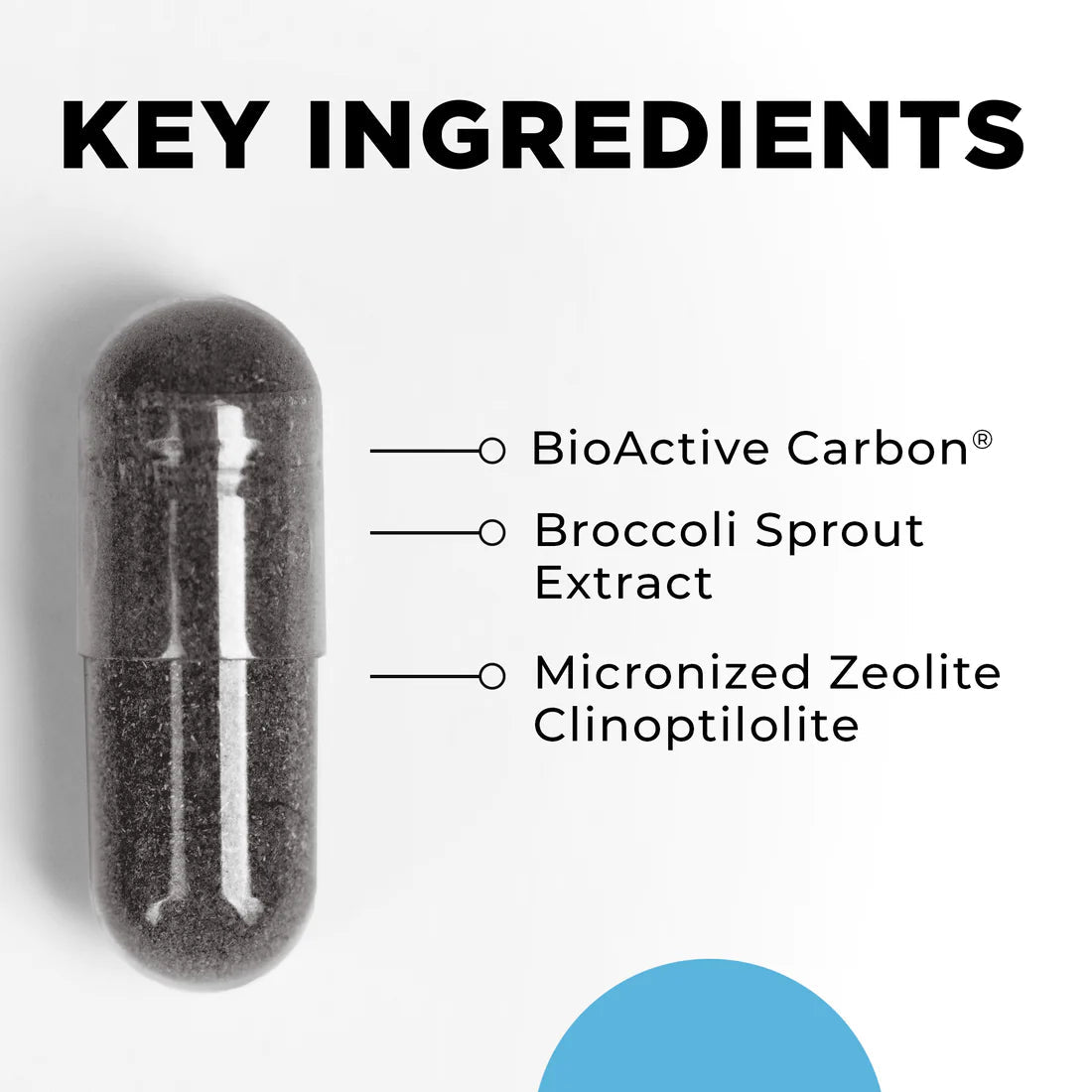 Cellcore HM - ET Binder - Wholistic Nutrition - Cellcore - Cellcore