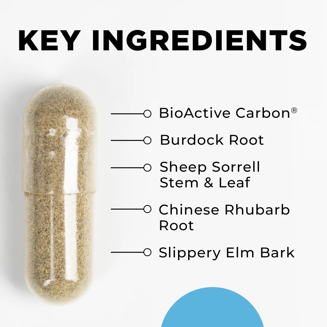 Cellcore LymphActiv - Wholistic Nutrition - Cellcore - Cellcore