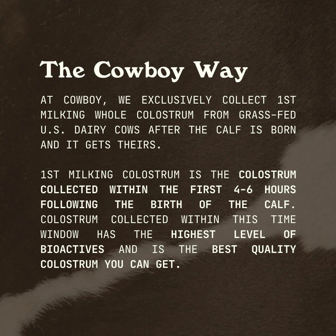 Cowboy Colostrum - Wholistic Nutrition - Protein Powder & Collagen - Cowboy Colostrum