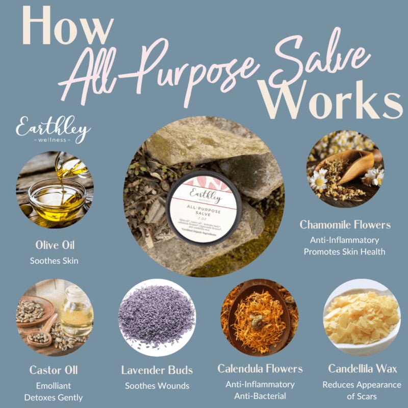 Earthley All Purpose Salve .5 oz - Wholistic Nutrition - Hair, Skin & Body Care - Earthley