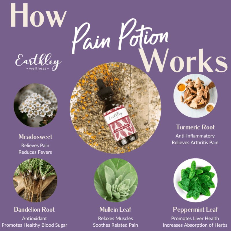 Earthley Pain Potion (Alcohol - Free) - Wholistic Nutrition - Wholistic Medicine Cabinet - Earthley
