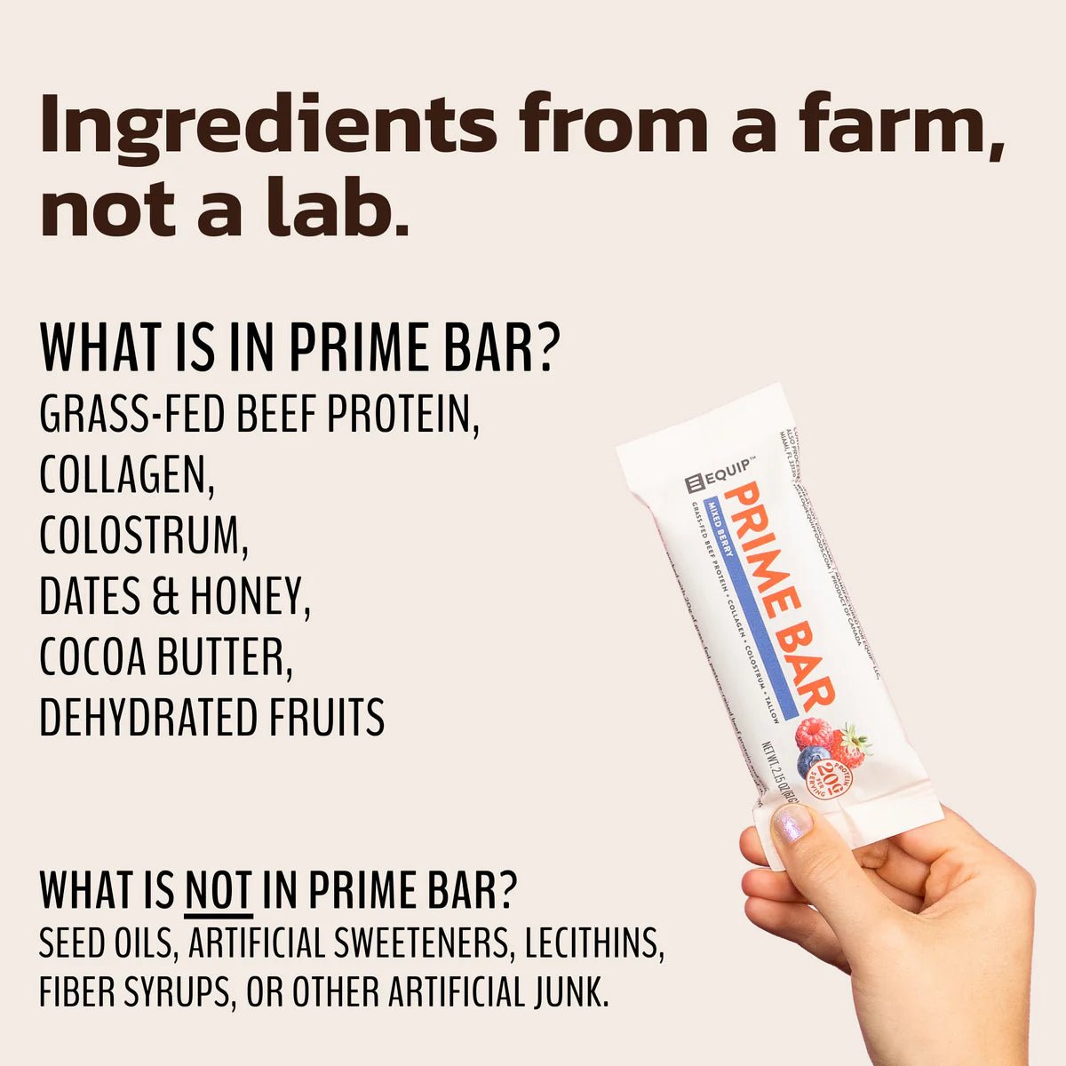 Equip Prime Bar - Box of 12 - Wholistic Nutrition - Snacks - Equip