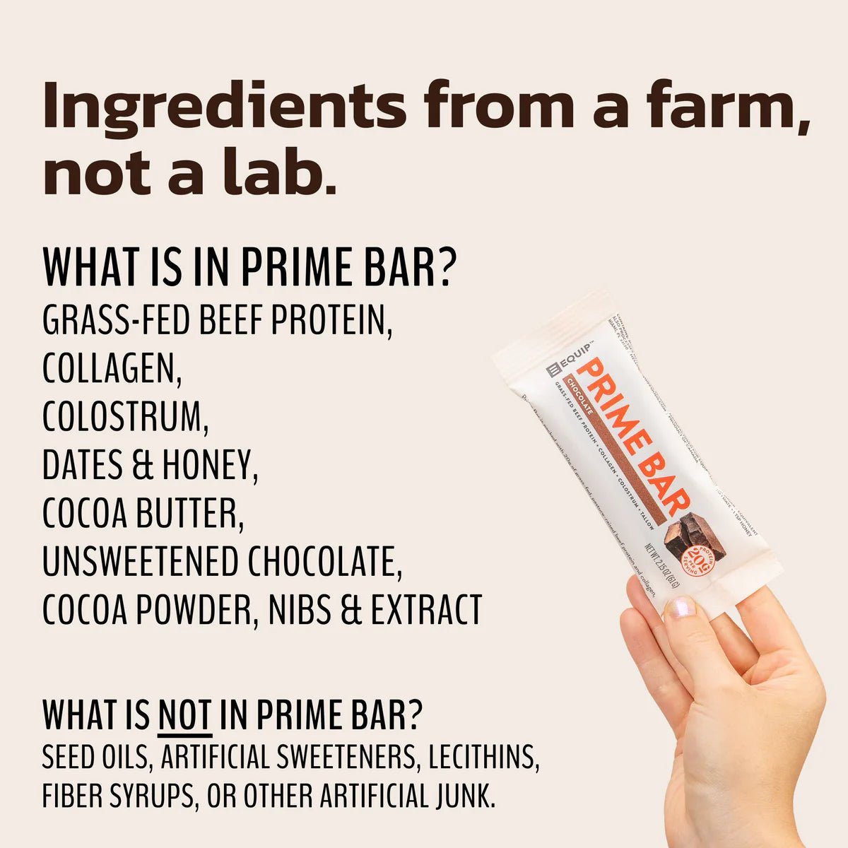 Equip Prime Bar - Box of 12 - Wholistic Nutrition - Snacks - Equip