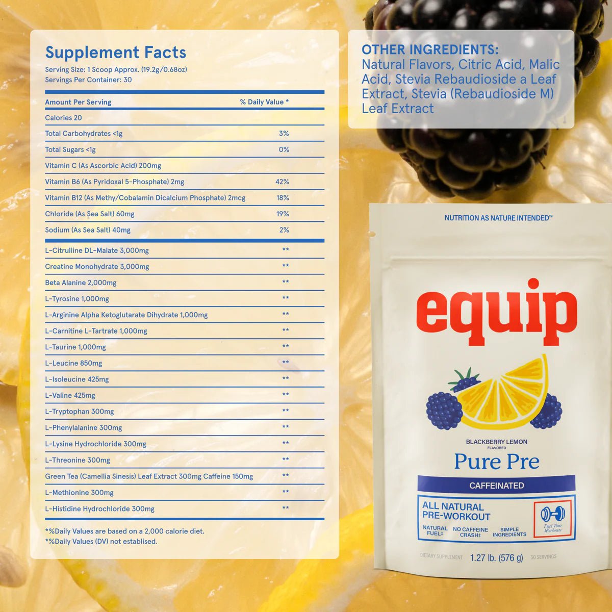 Equip Pure Pre Pre - workout - Wholistic Nutrition - Protein Powder & Collagen - Equip