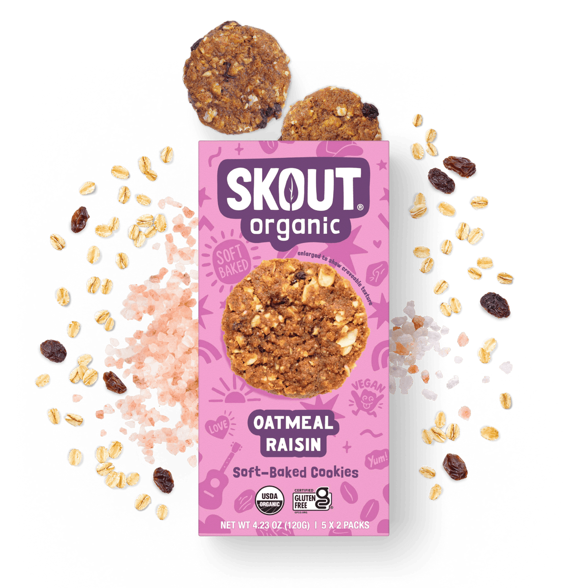 Skout Organic Oatmeal Raisin Soft Baked Cookies