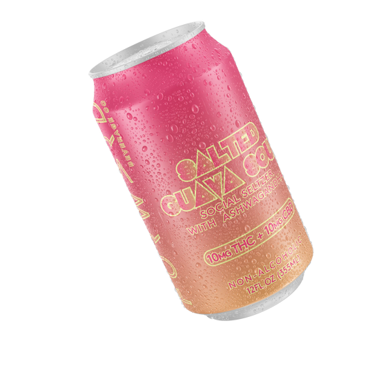 Forward Beverage 4-pack Salted Guava Sour 20mg Social Seltzer - Wholistic Nutrition-Beverage-Forward Beverage