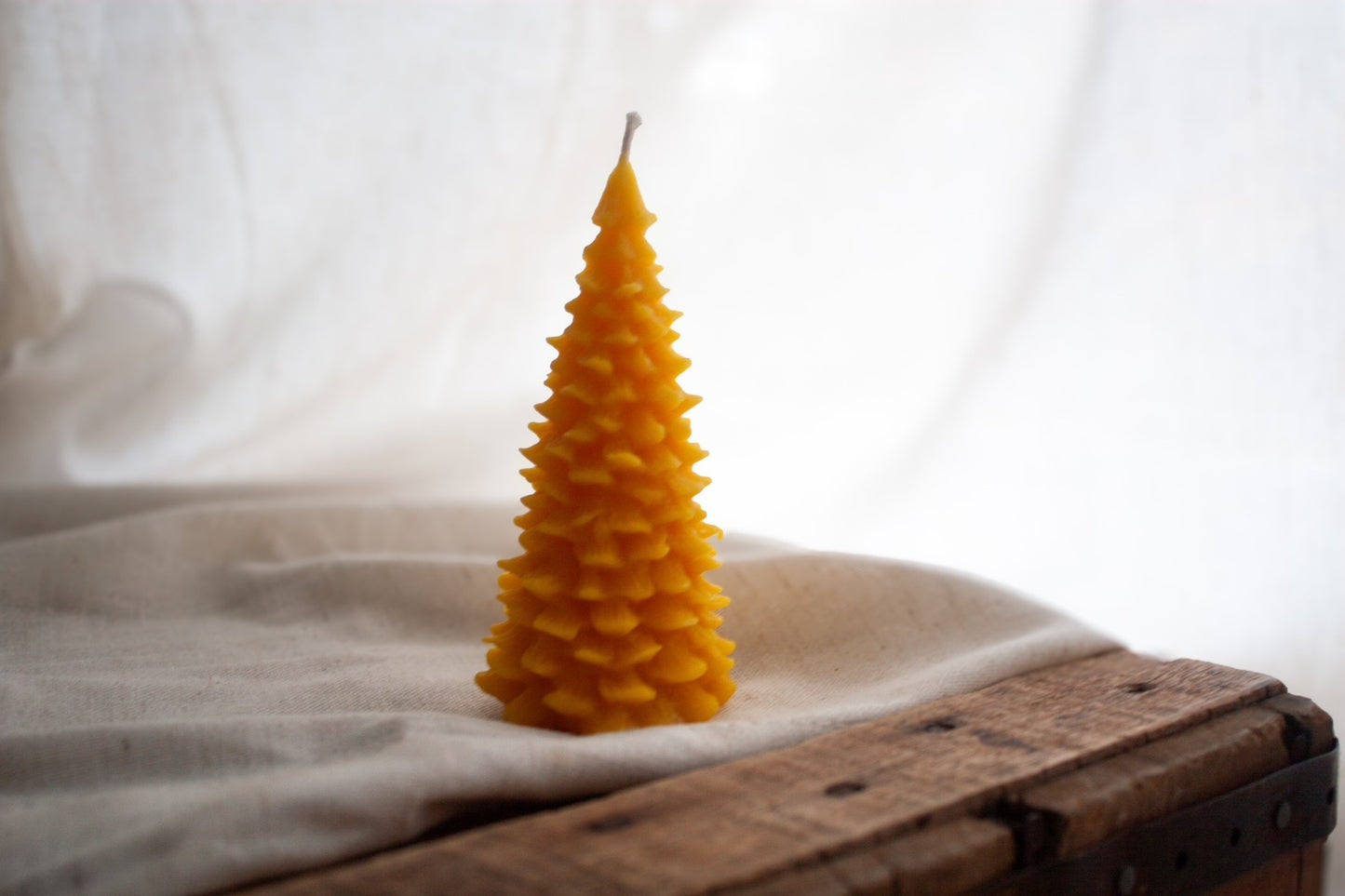 Wildflower & Honey Pine Tree Beeswax Candle