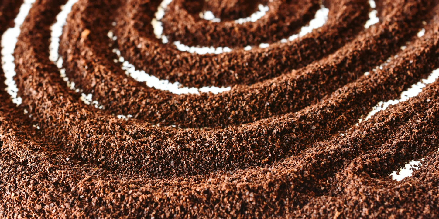 Purity Coffee GROUND Coffee - 12 oz Bag - Wholistic Nutrition - Coffee - Purity