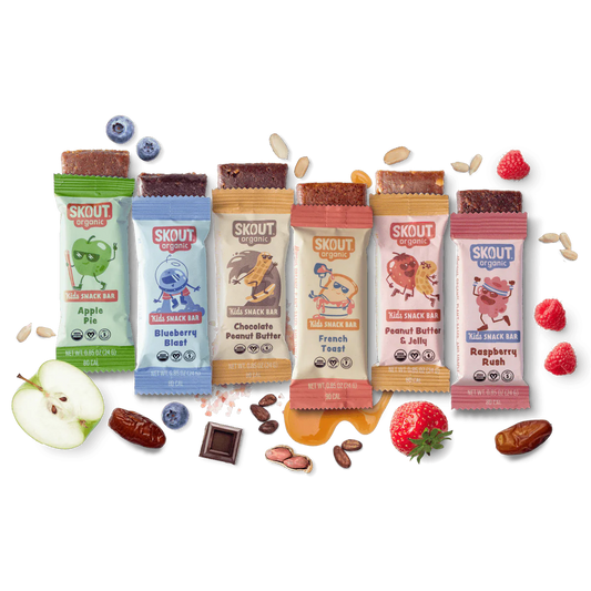 Skout Organic Kids Snack Bar - Individual