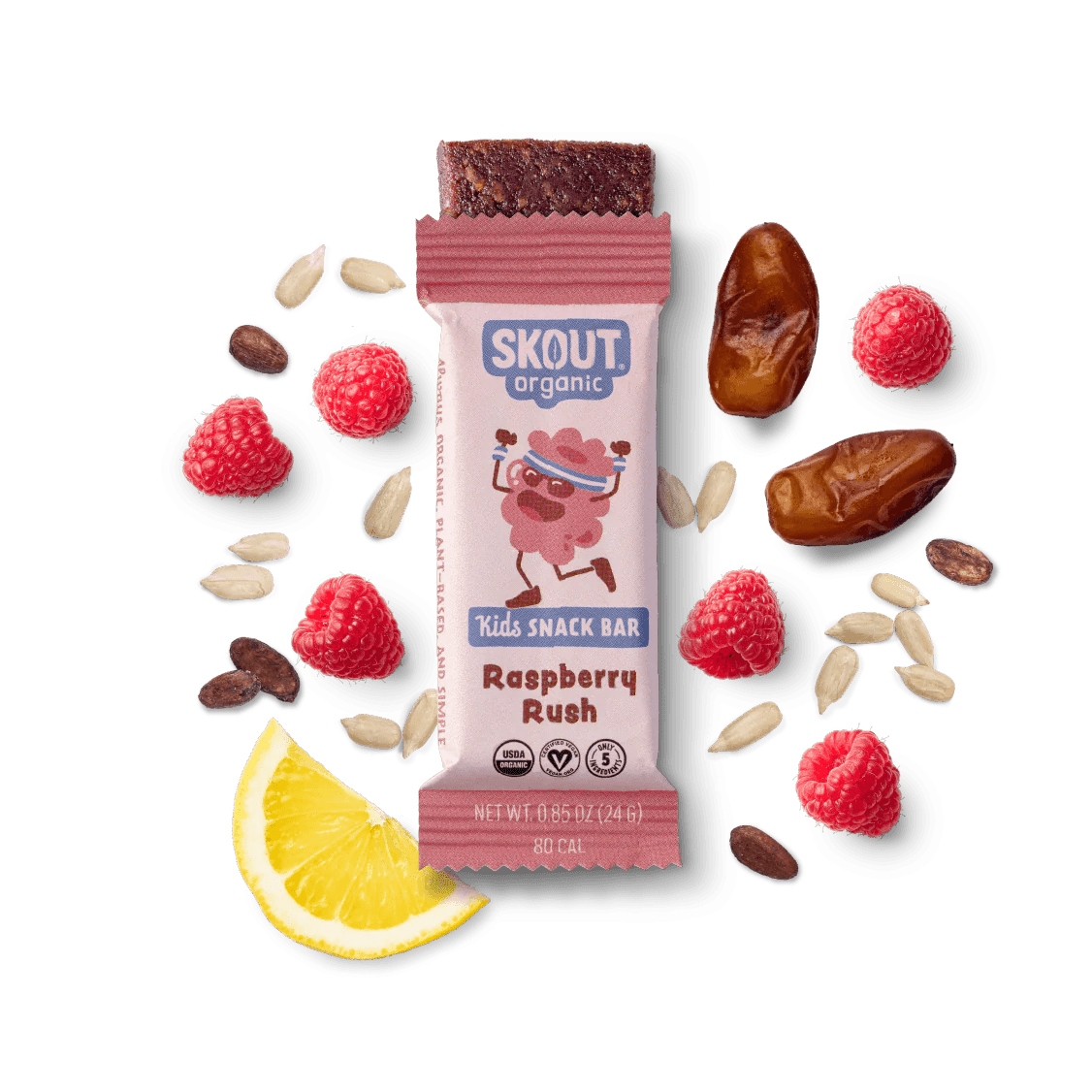 Skout Organic Kids Snack Bar - Individual - Wholistic Nutrition - Snacks - Skout