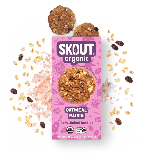 Skout Organic Oatmeal Raisin Soft Baked Cookies - Wholistic Nutrition-Snacks-Skout Organic