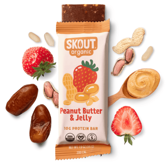 Skout Organic Protein Bar Peanut Butter & Jelly - Wholistic Nutrition - Skout