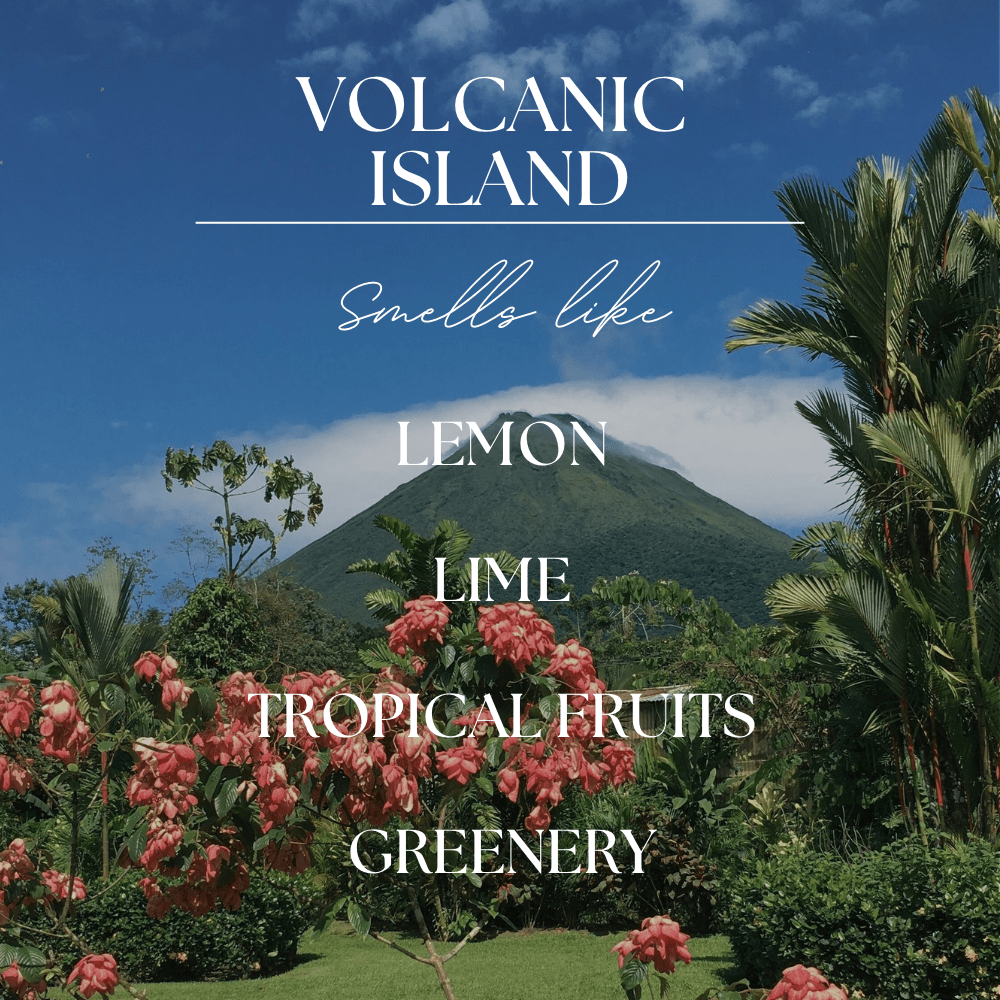 Volcanic Island | 8ml Hanging Car Diffuser - Wholistic Nutrition-Wholistic Home-Modern Roots Candle Co.