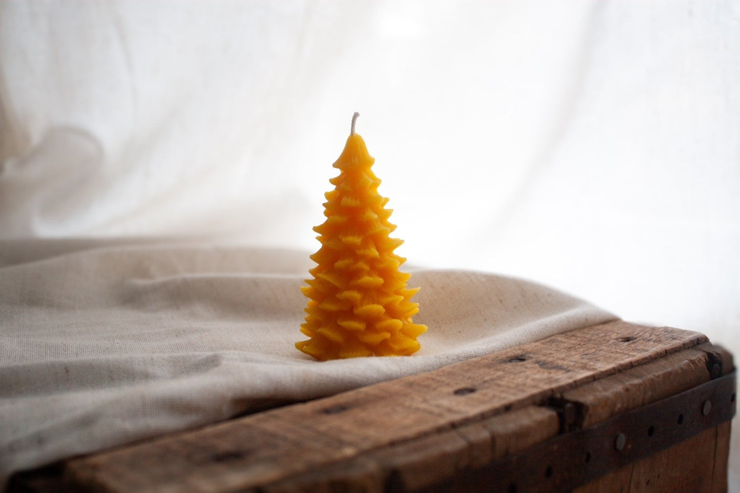 Wildflower & Honey Pine Tree Beeswax Candle - Wholistic Nutrition - Wholistic Home - Wildflower & Honey