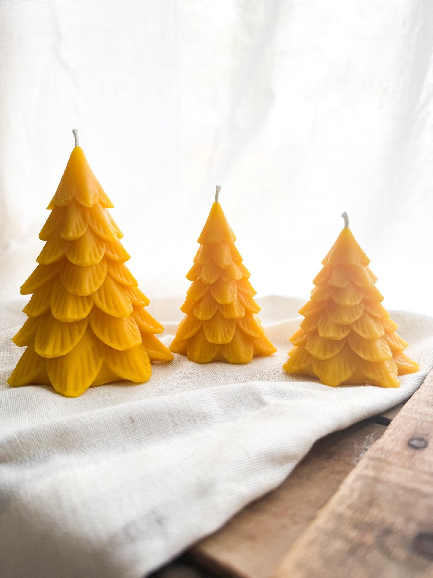 Wildflower & Honey Woodland Pine Beeswax Candle - Wholistic Nutrition - Wholistic Home - Wildflower & Honey