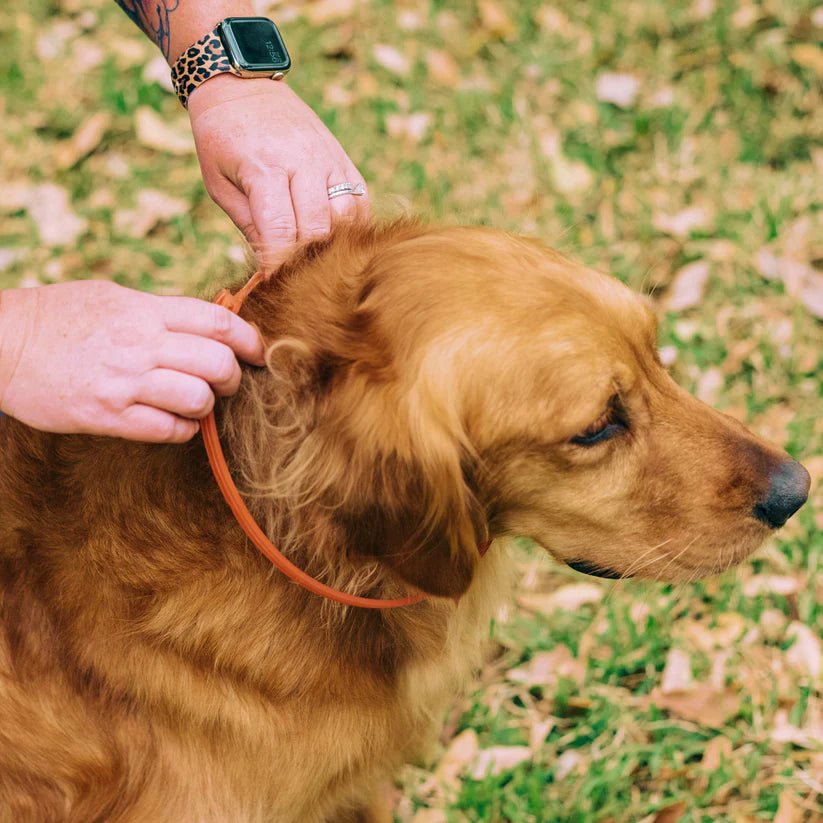 Wondercide Flea & Tick Collar for Dogs with Natural Essential Oils - Peppermint - Wholistic Nutrition - Wholistic Pet Care - Wondercide