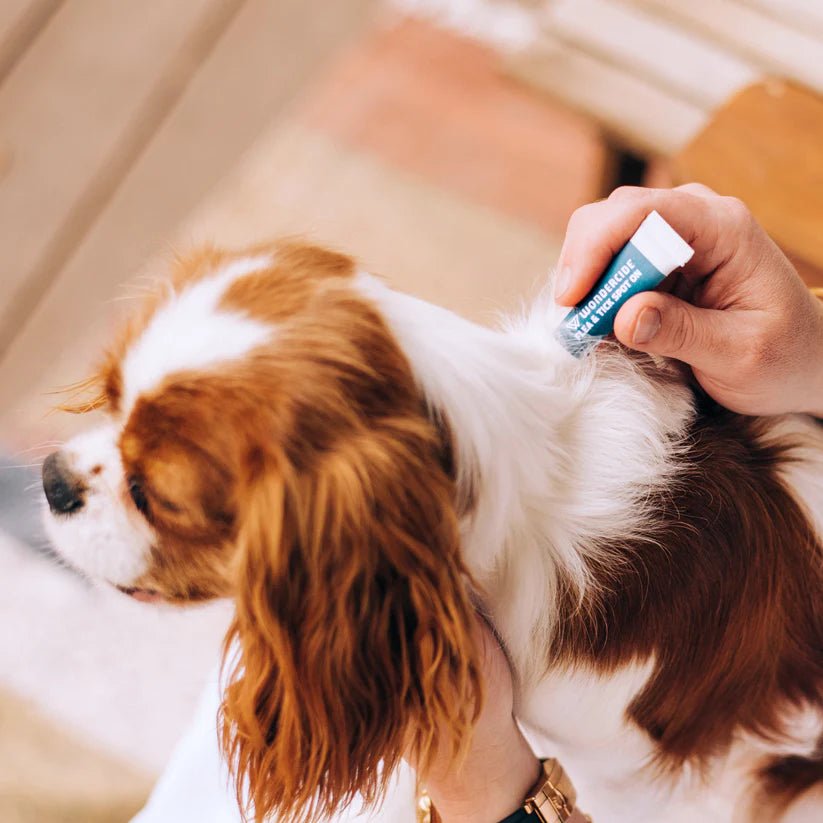 Wondercide Flea & Tick Spot on for Dogs with Natural Essential Oils - Peppermint - Wholistic Nutrition - Wholistic Pet Care - Wondercide